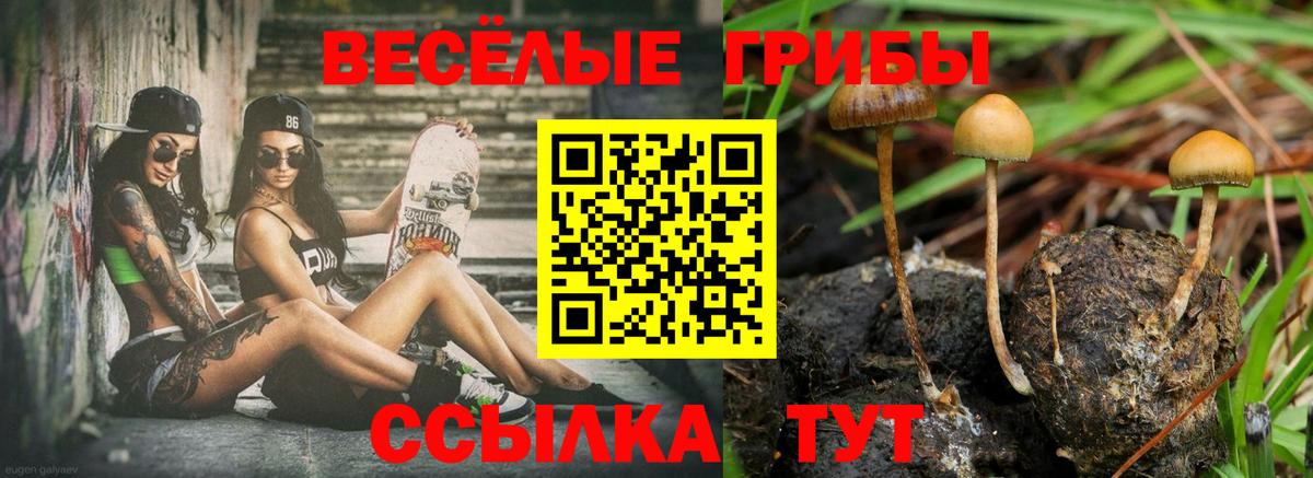 Алапаевск  Галлюциногенные грибы прущие грибы  Вход с VPN 